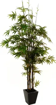Umělá květina Bambus černý kmen 240 cm