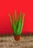 Umělá květina Aloe vera, 63 cm