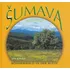 Umění Šumava - Jan Kavale