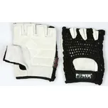 Power System Basic 2100 