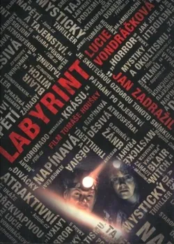 DVD film DVD Labyrint (2012)