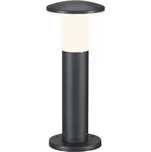 BigWhite Alpa Mushroom