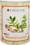 Diochi Maytenus ilicifolia (cangorosa)…