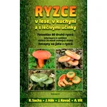 Radomír Socha: Ryzce v lese, v kuchyni…