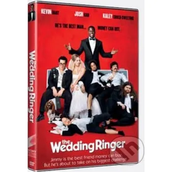 DVD film Dokonalý svědek s.r.o. [DVD]