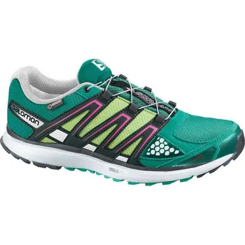 Dámská běžecká obuv Salomon X-Scream GTX L36890200