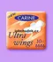 Hygienické vložky Carine ultra wings (10) single
