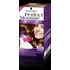 Barva na vlasy Schwarzkopf Perfect Mousse 35 ml