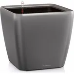 Lechuza Quadro LS 50 cm