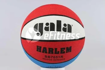 Basketbalový míč Basketbalový míč GALA Harlem 7051R