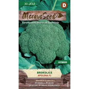 Semeno Moravoseed Brokolice Apolena F1 30 ks