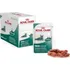 Krmivo pro kočku Royal Canin Oral Mature 12 x 85 g