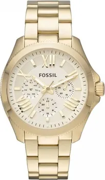 Hodinky Fossil AM4510