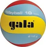 Volejbalový míč GALA Volleybal 10