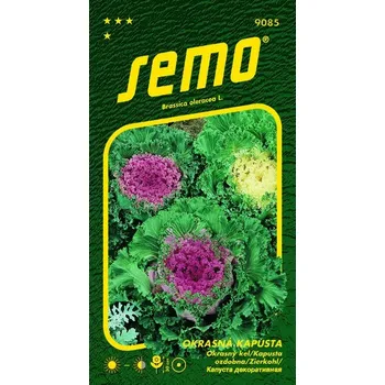 Semeno SEMO Semena kapusta okrasná 50 ks