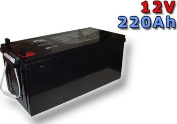 Trakční baterie Goowei OTL200-12