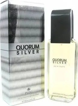Pánský parfém Antonio Puig Quorum Silver M EDT