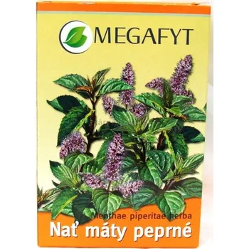 Čaj Megafyt Nať máty peprné 50g