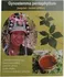 Léčivý čaj Ženšen pětilistý (gynostemma pentaphyllum) Jiaogulan 50g