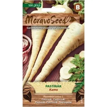 Semeno Moravoseed Pastiňák Kamo 500 ks