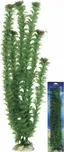 Rostlina UH M036 - 50 cm