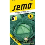 SEMO Vertus 2 semena kapusta hlávková…