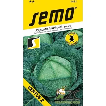 Semeno SEMO Vertus 2 semena kapusta hlávková pozdní 1 g