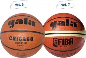 Volejbalový míč Gala Chicago vel. 7