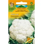 Nohel Garden Květák letní Delta 100 ks