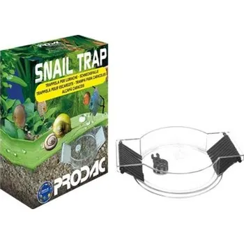 Snail trap - past na šneky Snail trap - past na šneky
