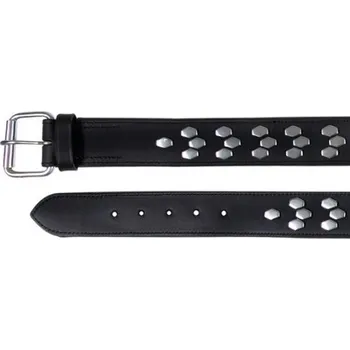 Obojek pro psa Trixie Active s ozdobami černý