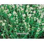 SEMO Tymián obecný 0,8 g