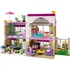Stavebnice LEGO LEGO Friends 3315 Olivia a její dům