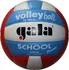Volejbalový míč Gala School