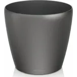 Lechuza Classico 60 x 56 cm