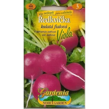 Semeno Nohel Garden Viola ředkvička fialová semena 4 g