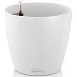 Lechuza Classico Color 43 x 40 cm