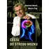 Cesta do středu mozku - Martin Čáp, Vladimír Beneš