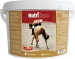 Biofaktory Nutri Horse MSM 1 kg
