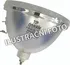 Lampa pro projektor Optoma DS327