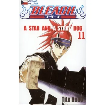 Bleach 11 - A Star and a Stray Dog - Tite Kubo