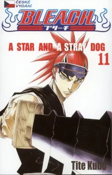 Bleach 11 - A Star and a Stray Dog - Tite Kubo