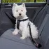 Postroj pro psa Trixie Bezpečnostní postroj do auta pro psa černý