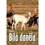 Bílá daněla - Aleš Dostál