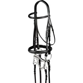 Busse Freetime drezurní uzda