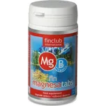 FINCLUB fin Magnesatabs 100 tbl.