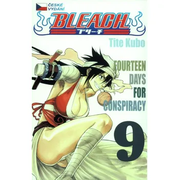Komiks pro dospělé Bleach 9 - Tite Kubo