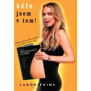 DVD film DVD Šéfe, jsem v tom! (2009)