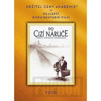 DVD film DVD Do cizí náruče (2000)
