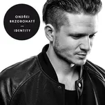 Identity - Ondřej Brzobohatý [CD]